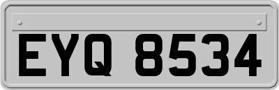 EYQ8534