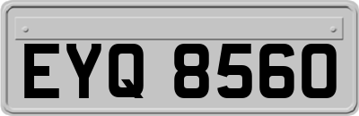 EYQ8560