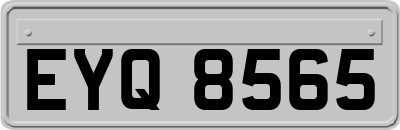 EYQ8565