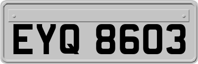 EYQ8603