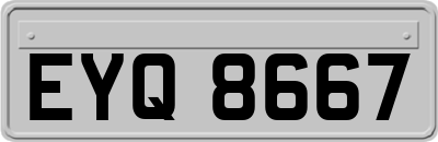 EYQ8667