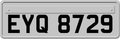 EYQ8729