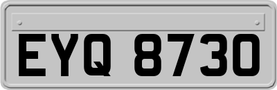 EYQ8730