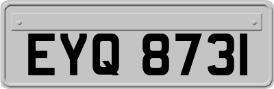 EYQ8731
