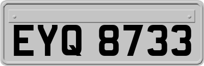 EYQ8733