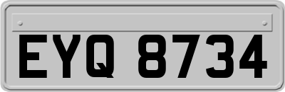 EYQ8734
