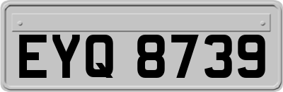 EYQ8739