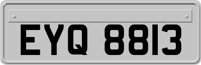 EYQ8813
