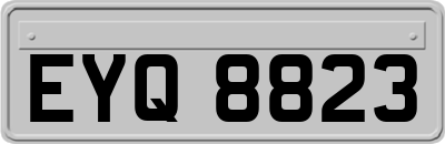 EYQ8823