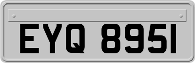 EYQ8951