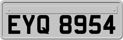 EYQ8954