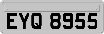 EYQ8955