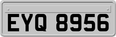 EYQ8956