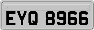 EYQ8966