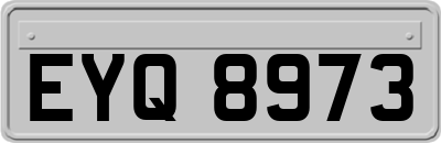 EYQ8973