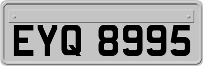 EYQ8995