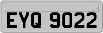 EYQ9022