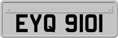 EYQ9101