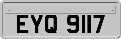 EYQ9117
