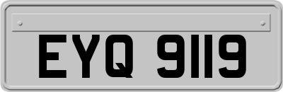 EYQ9119
