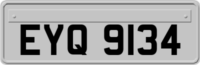 EYQ9134