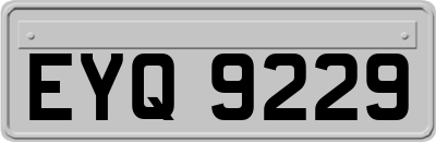 EYQ9229