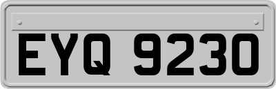 EYQ9230