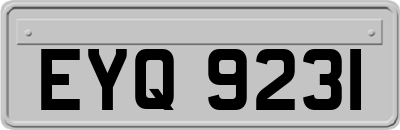 EYQ9231
