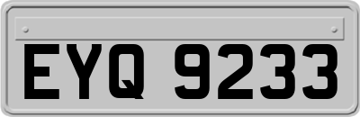 EYQ9233