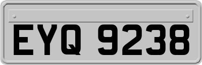 EYQ9238