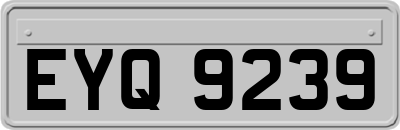 EYQ9239