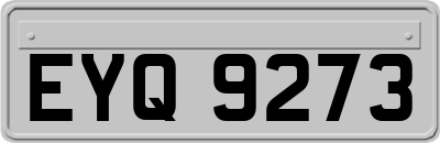 EYQ9273