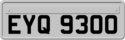 EYQ9300