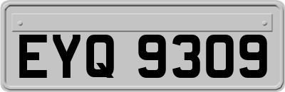 EYQ9309
