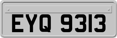 EYQ9313