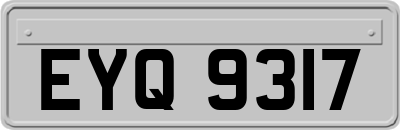 EYQ9317