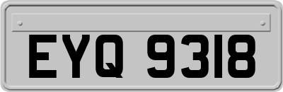 EYQ9318