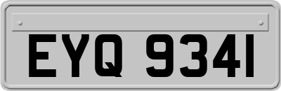 EYQ9341