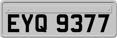 EYQ9377