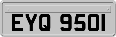 EYQ9501