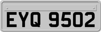 EYQ9502