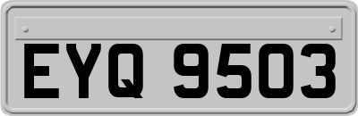 EYQ9503