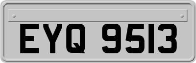 EYQ9513