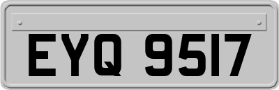 EYQ9517