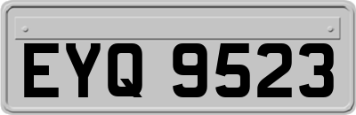 EYQ9523