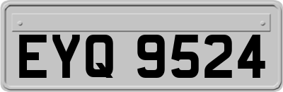 EYQ9524