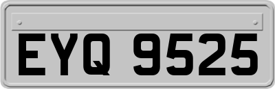 EYQ9525