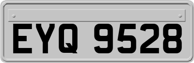 EYQ9528