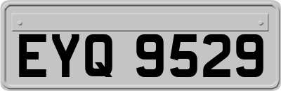 EYQ9529