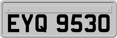 EYQ9530